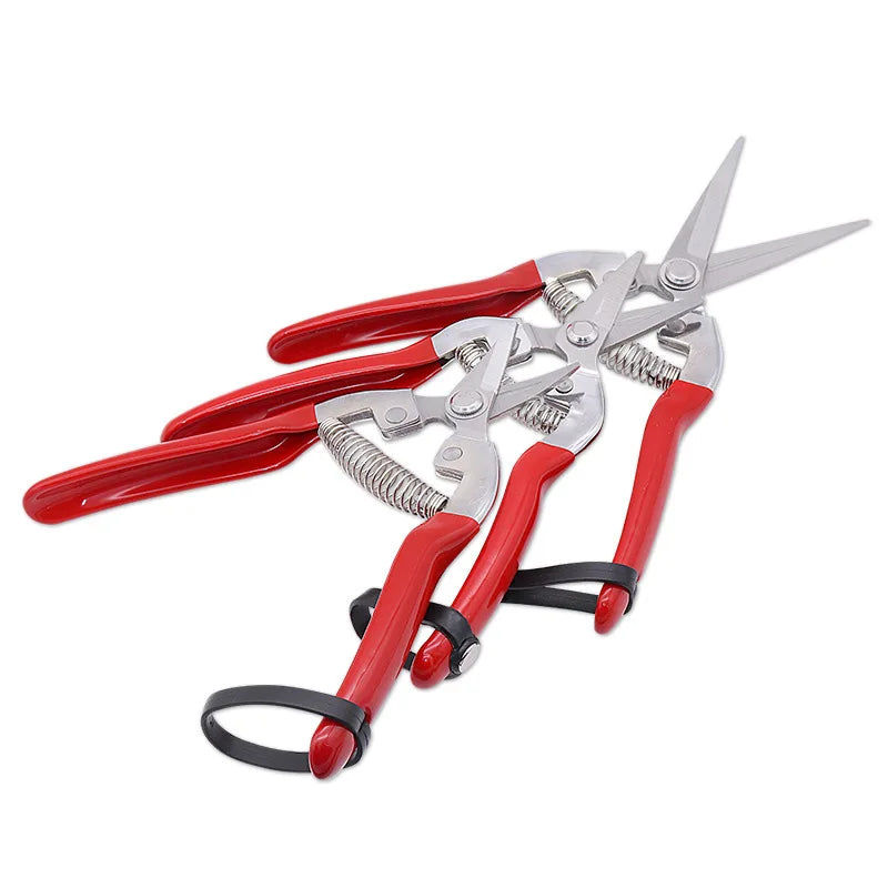 Premium Stainless Steel Garden Shears: Precision Pruning for Lush Landscapes