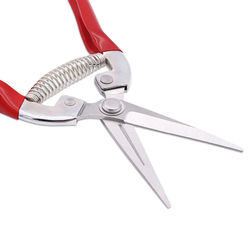 Premium Stainless Steel Garden Shears: Precision Pruning for Lush Landscapes